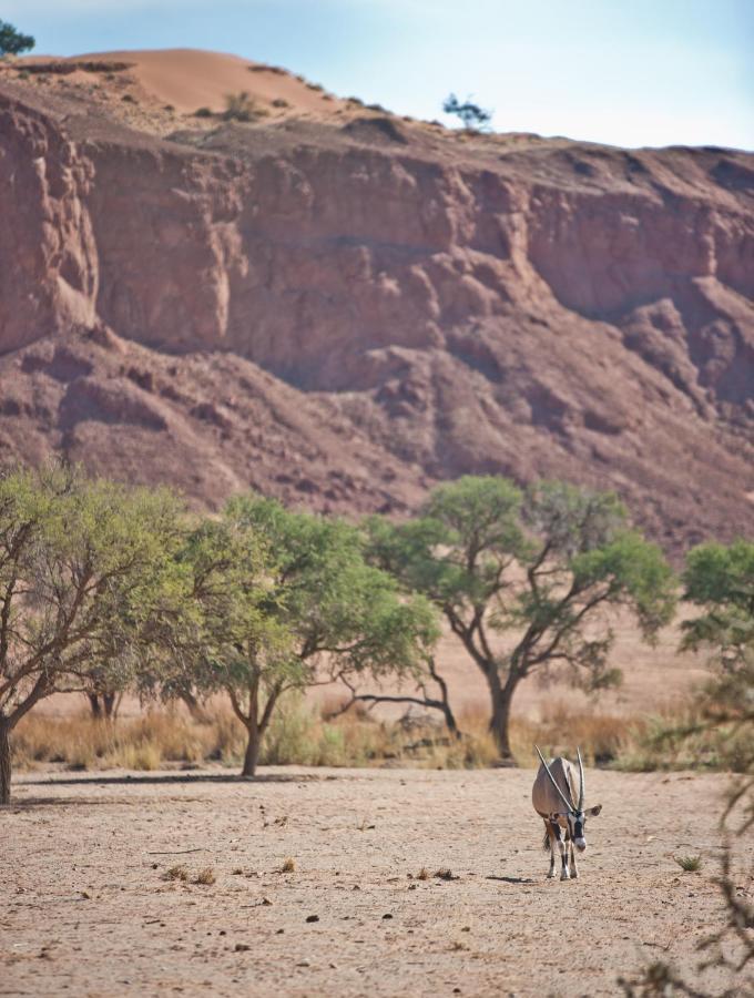 Namib Desert Campsite ソリティア エクステリア 写真