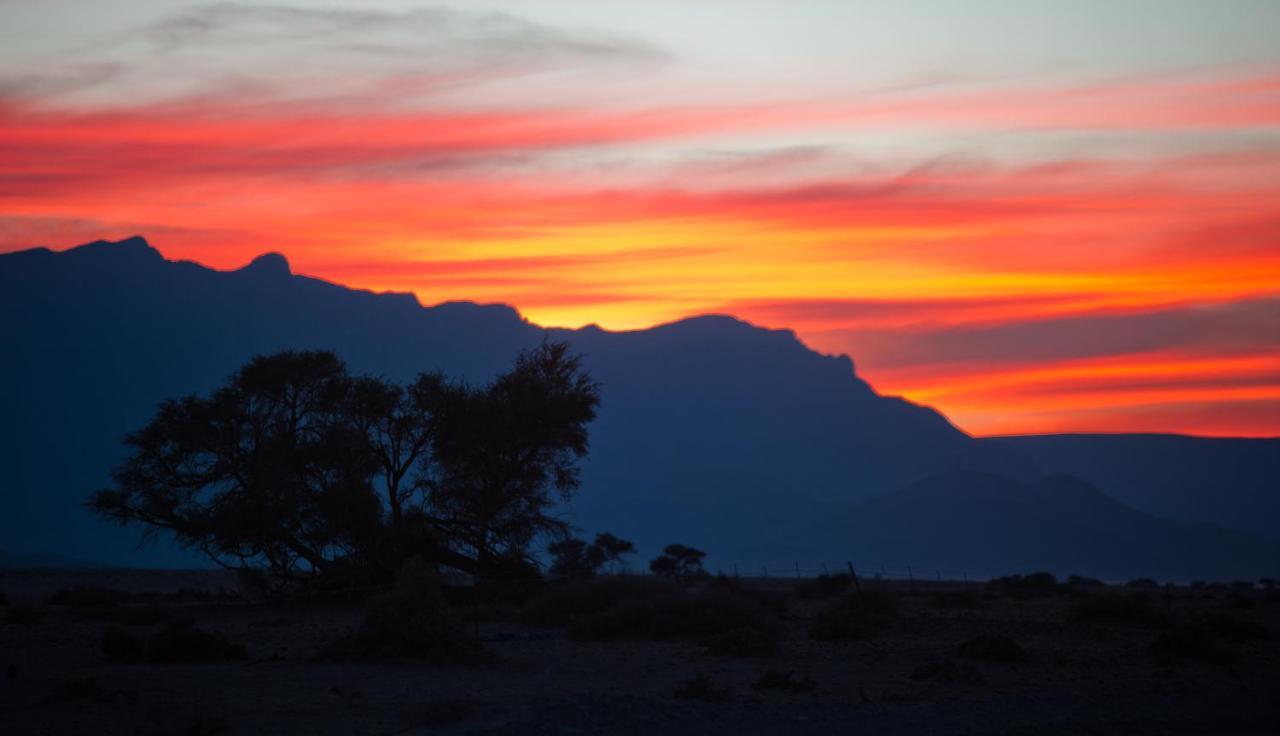 Namib Desert Campsite ソリティア エクステリア 写真